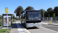 Connexxion Man Lion's City 5132 als lijn 103
